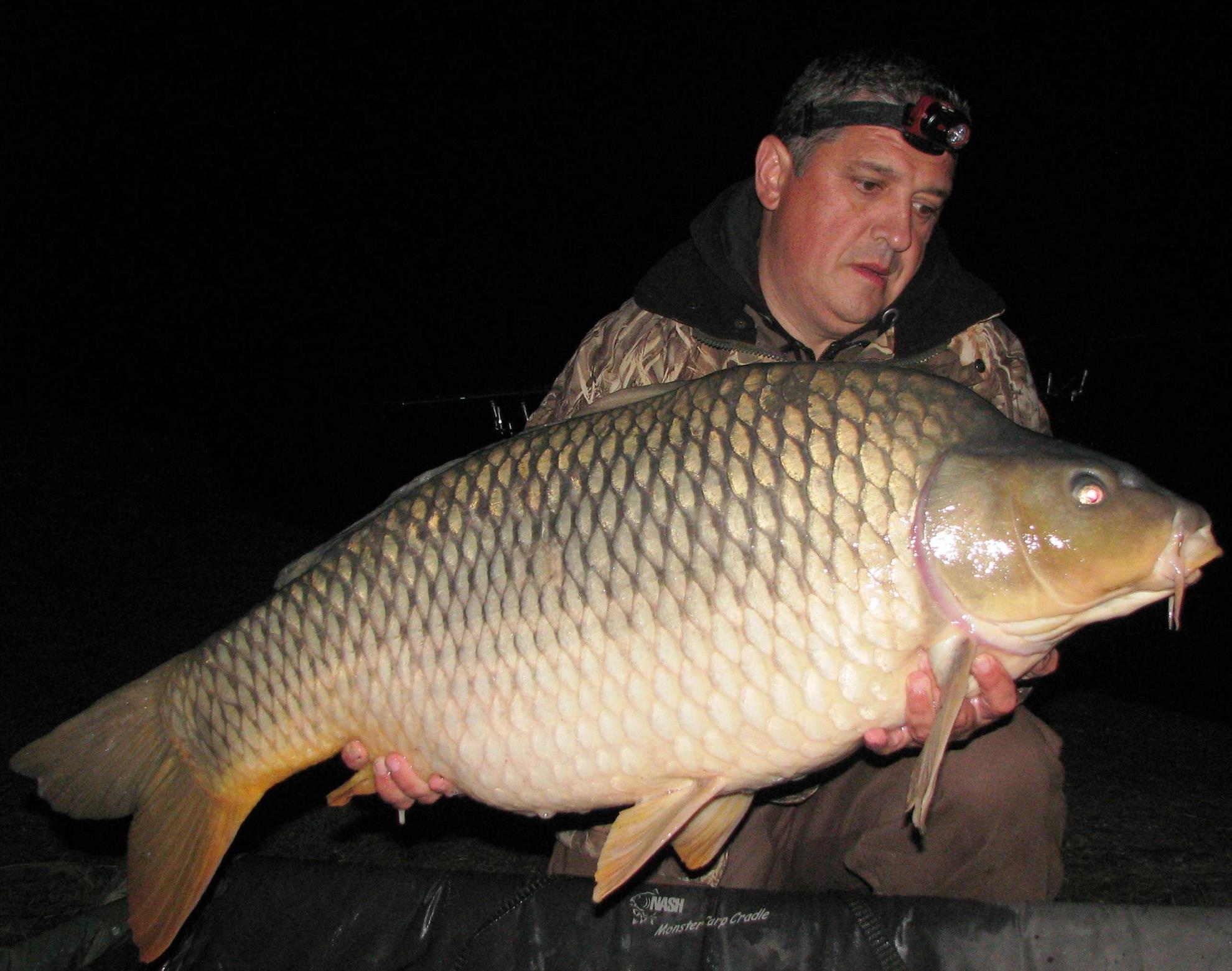 Balkan lake 25 - 31 octombrie 2014 - img1913.JPG